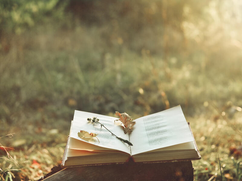 Book review 
