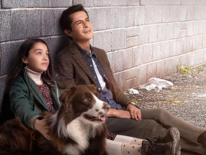 مسلسل أميرة بلا تاج