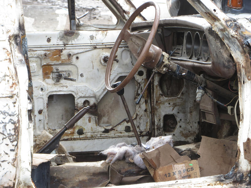 al-Shabab movement