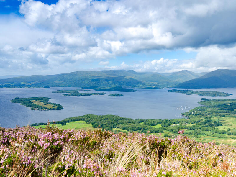 Scottish island is up for sale at over $186,000