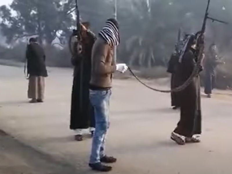 صعيد مصر
