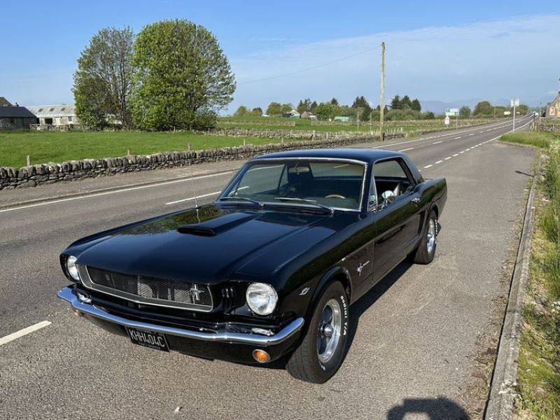 classic car