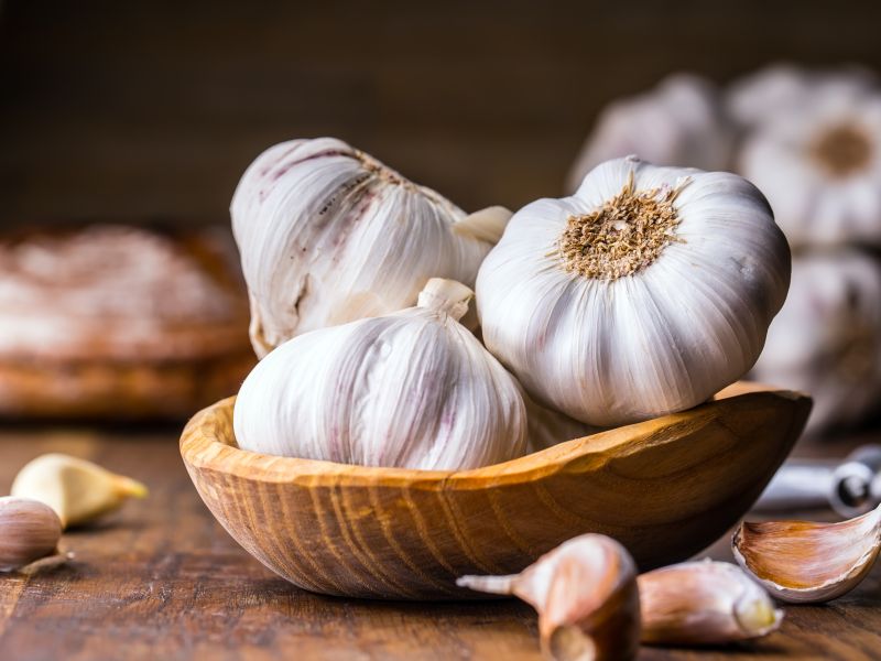 Garlic