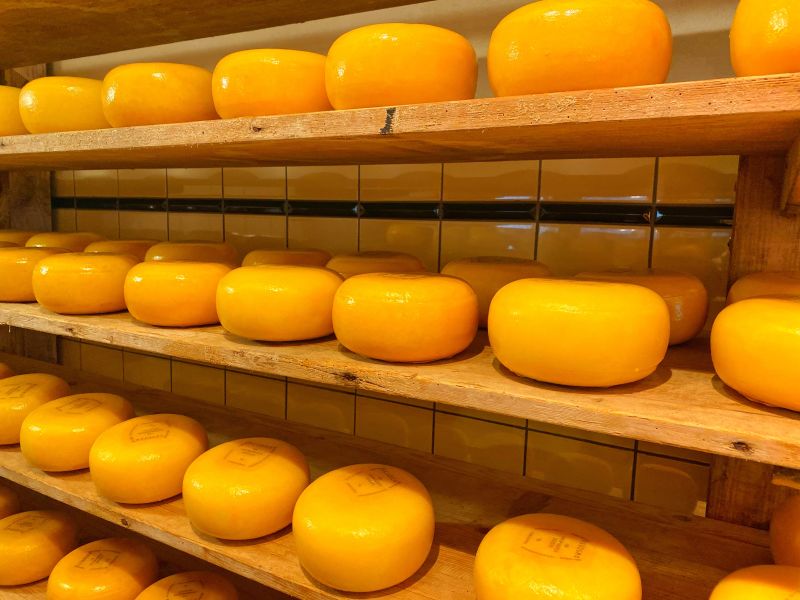 cheese