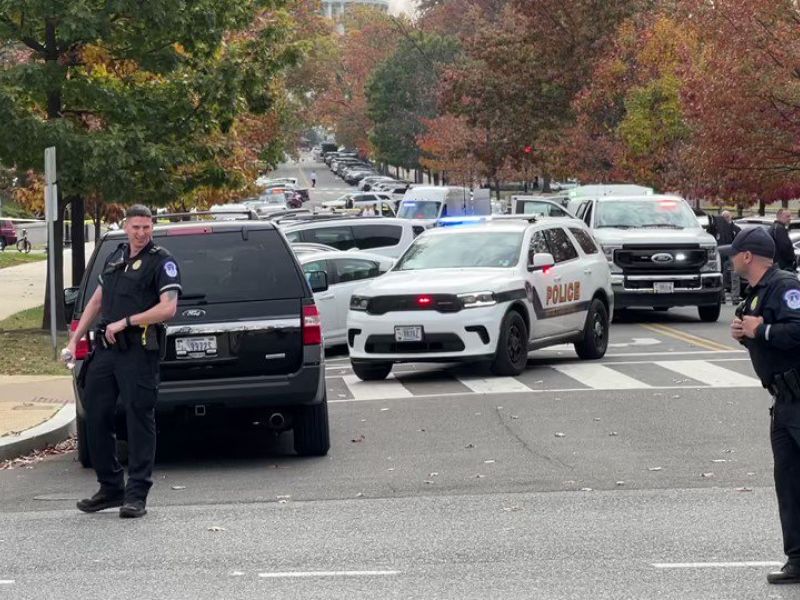 The armed man was arrested by US Capitol Police officers on Tuesday. (Twitter)