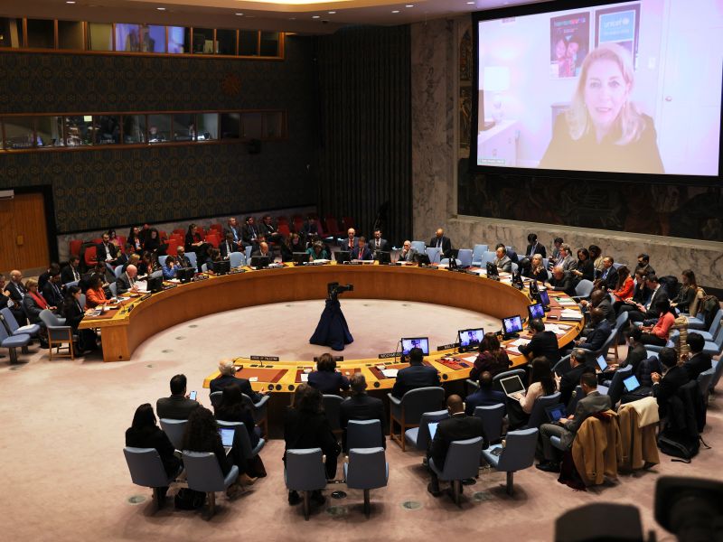 UN Security Council