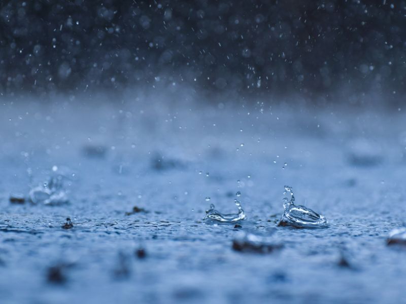 رسائل صباحية جميلة عن المطر