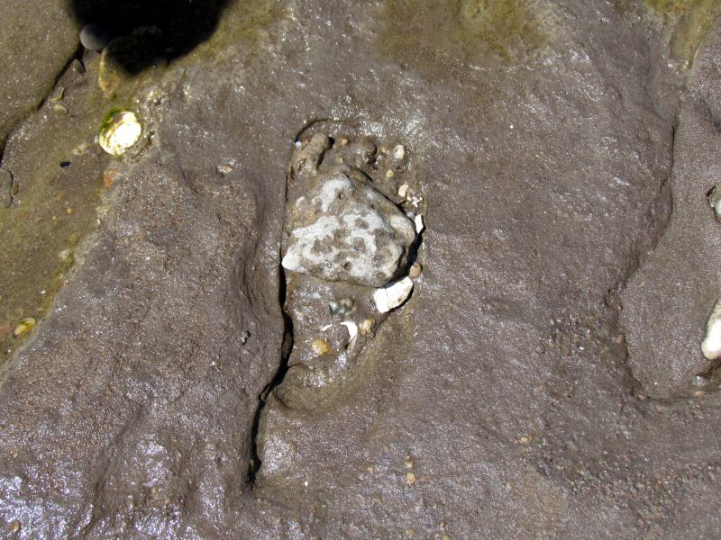 human footprints