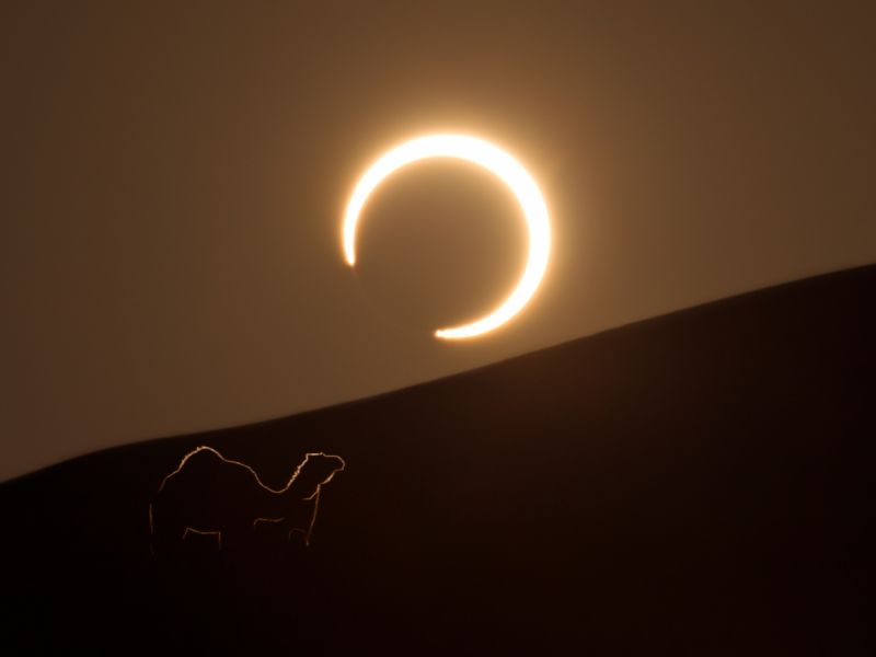 تفسير حلم رؤية هلال شهر رمضان