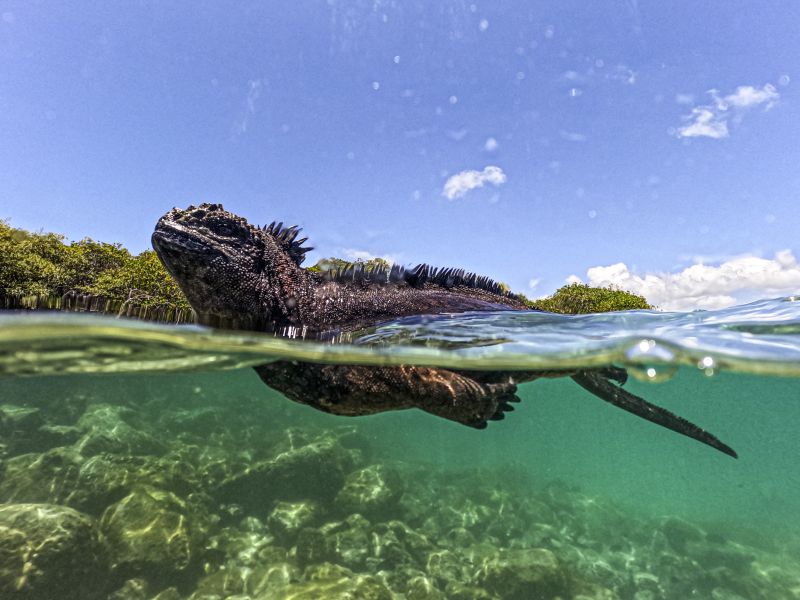 marine reserve