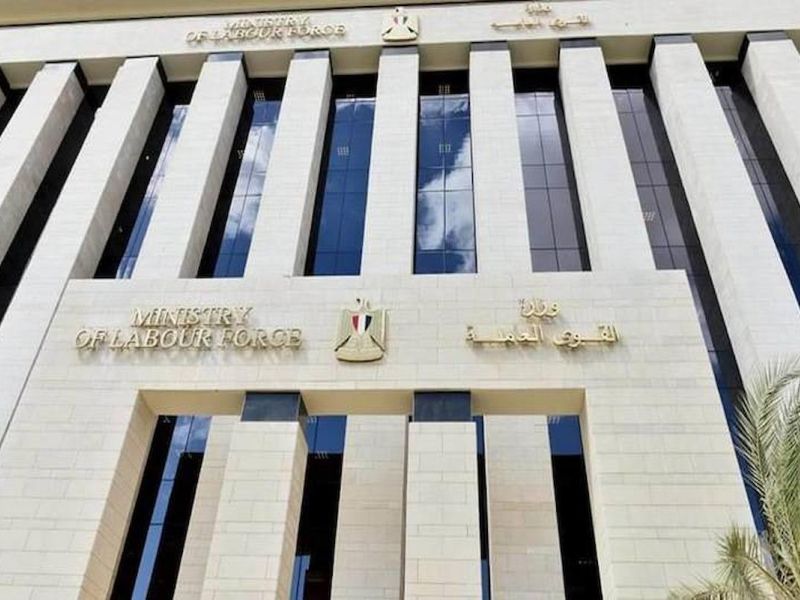 وزارة العمل تعلن توظيف ذوي الهمم في تلك المحافظة