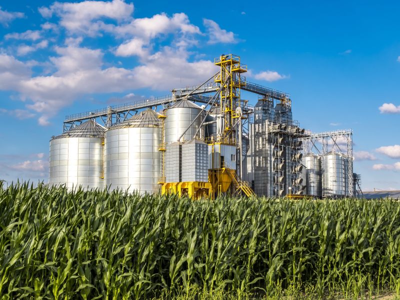 agrifood 