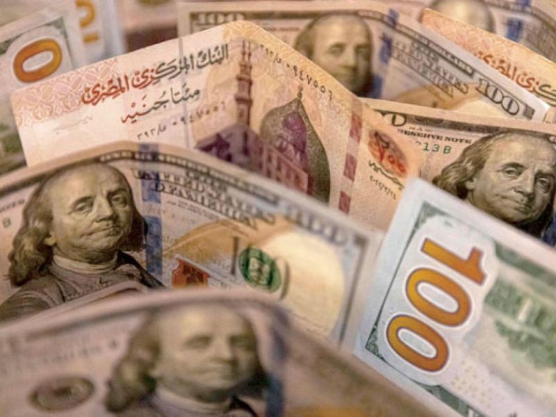 18 مليون جنيه دعم ونتوقع حصد هذا العدد من الميداليات