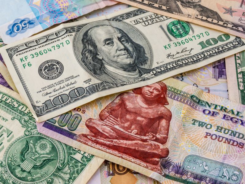 سعر الدولار اليوم في مصر