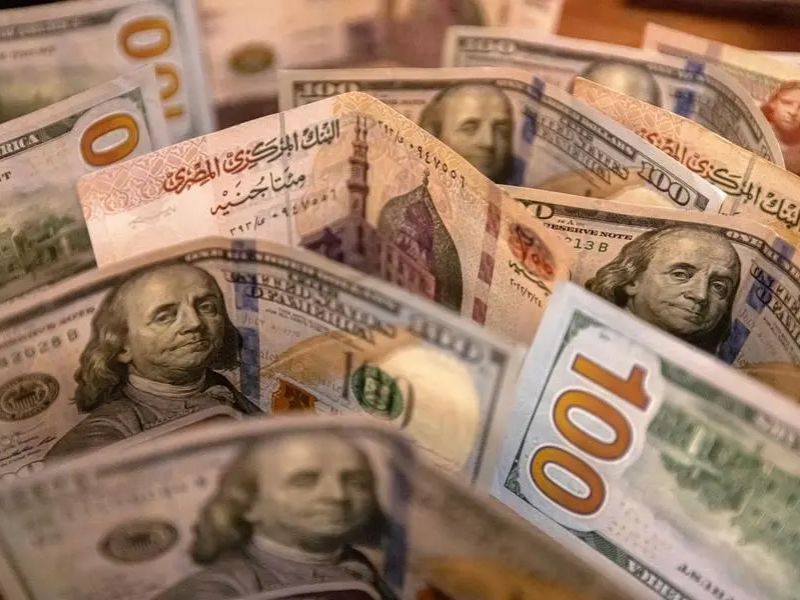 سعر الدولار اليوم في مصر