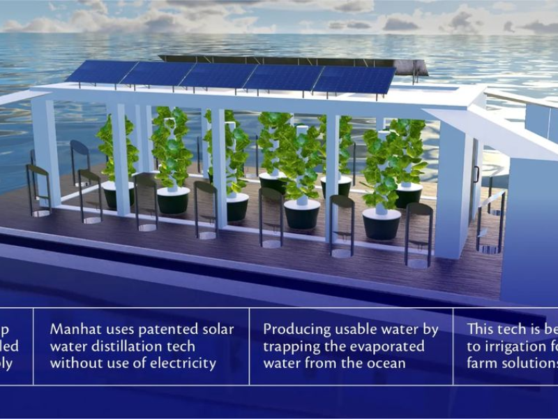 UAE transforms coastal areas into floating farms