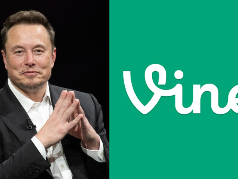 Vine
