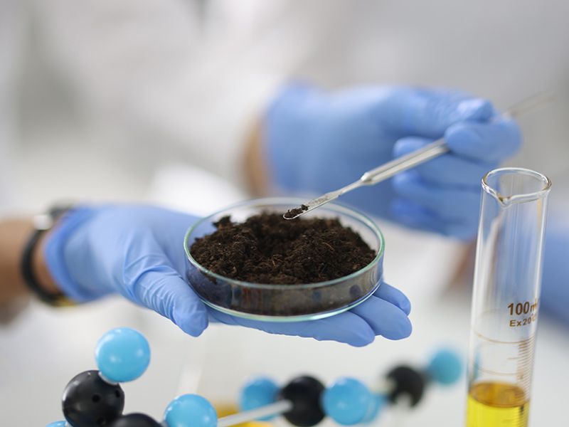 Farming the unfarmable: How microbes are reviving life in desert soils, research shows new hope for arid agriculture