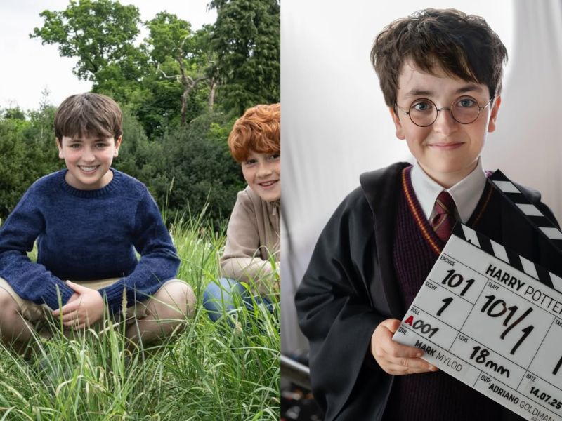 Harry Potter series