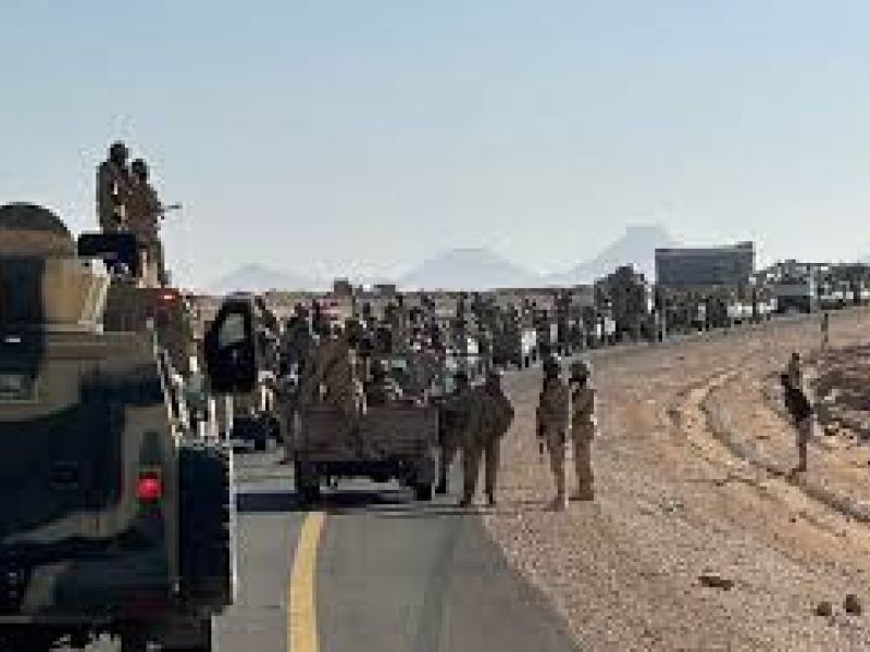 قوات درع الوطن