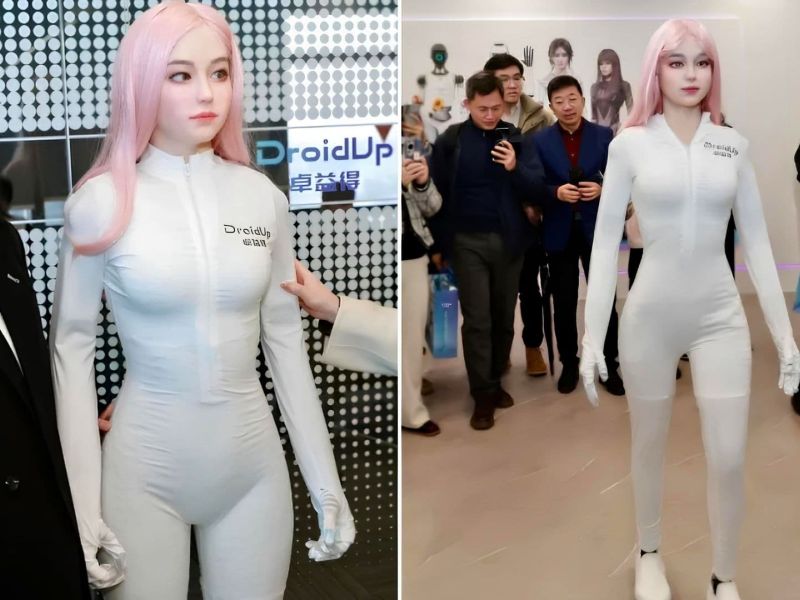Mayo robot