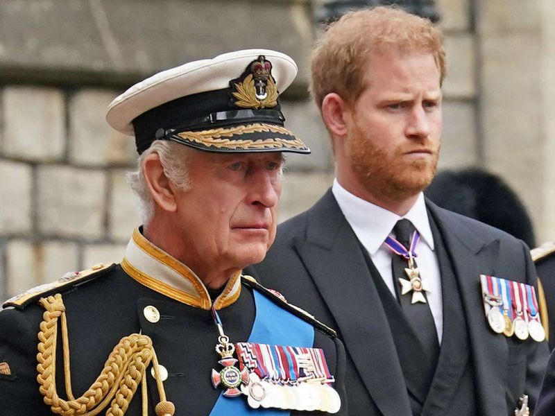 الامير هاري