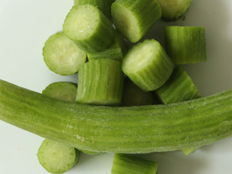 خطوات لزراعة الفقوس في الحديقة المنزلية