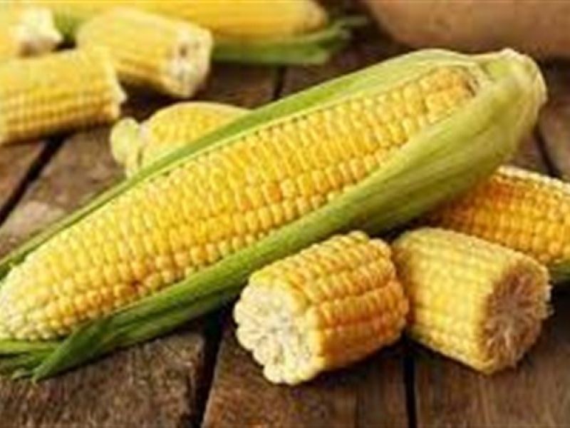 حلم أكواز الذرة في المنام