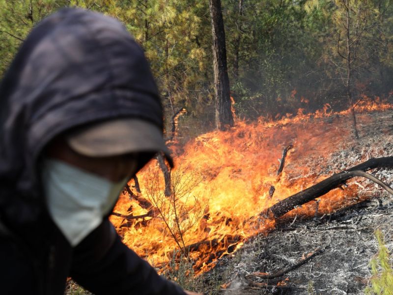 wildfire Algeria