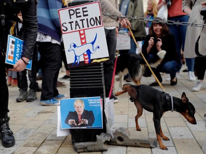 A dog urinates on images of pro-Brexit supporters Nigel Farage and Boris Johnson as dog owners and their pets gather before participating in a pro-EU, anti-Brexit march, calling for a "People's Vote on Brexit". (Tolga AKMEN / AFP)