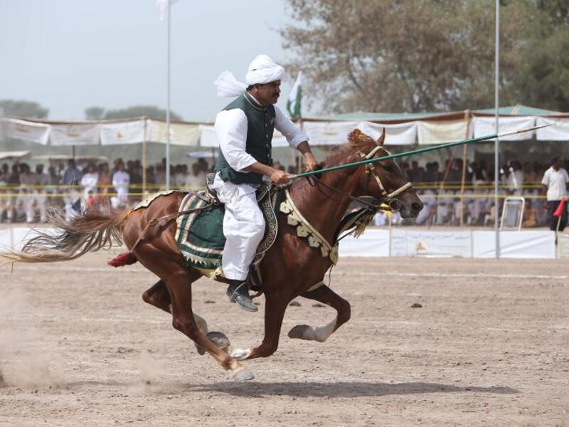 A Pakistani horse rider charges across a course holding a lance to pick up pegs during an attempt for a Guinness World Record for tent pegging in Khanewal district in Punjab province.
SS MIRZA / AFP