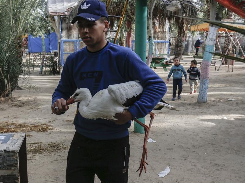 Forty animals including five lions are to be rescued from squalid conditions in the Gaza Strip, an animal welfare group said.
SAID KHATIB / AFP