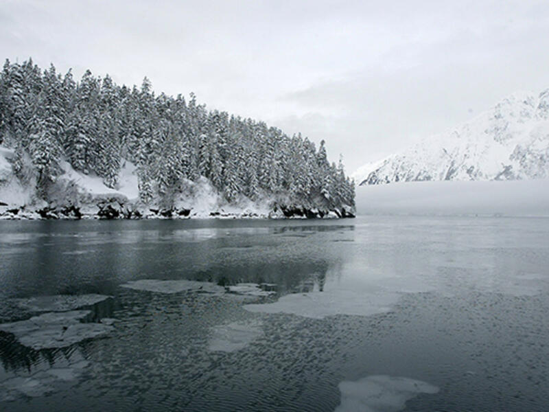 Alaska, US - Muslims in the state of Alaska are experts at abstaining, going for 20 hours without a bite to eat. And it’s not ju