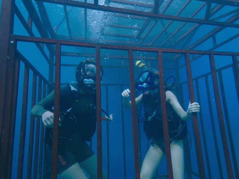 47 Meters Down: أختان تقرران الغوص داخل البحر في قفص من أجل مشاهدة أسماك القرش لـ5 دقائق ، إلا أن خللًا يتسبب في غرق القفص إلى مسافة تقدر بـ47 مترًا.