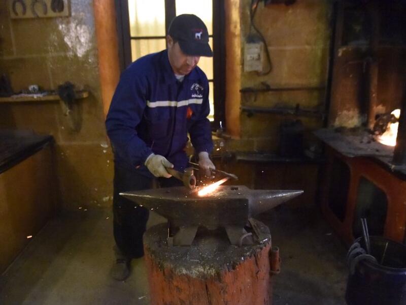 Algerian farrier Meddah Larbi hammers a horseshoe at a horse breeding farm, one of the oldest and largest farm in Algeria, perched on the high plateaux in the country's Tiaret region, 300 Kilometres west of Algiers, on April 24, 2018. 
RYAD KRAMDI / AFP