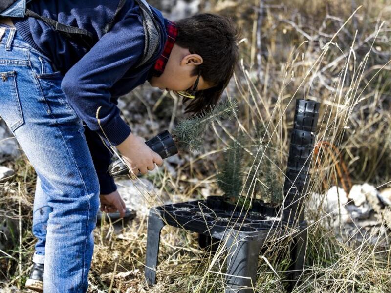 An activist from Lebanese NGO Jouzour Loubnan ("Roots of Lebanon") holds in his hand young a cedar to be planted on the slopes of the Jaj Cedar Reserve Forest in the Lebanon mountains.
JOSEPH EID / AFP