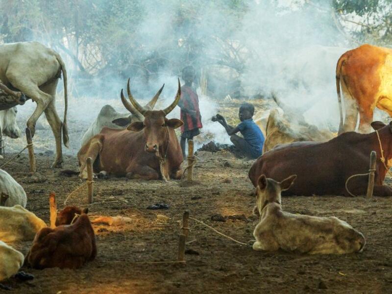Children warm themselves beside a fire near a herd of cows at Dirkier cattle camp in Udier, South Sudan 
SIMON MAINA / AFP