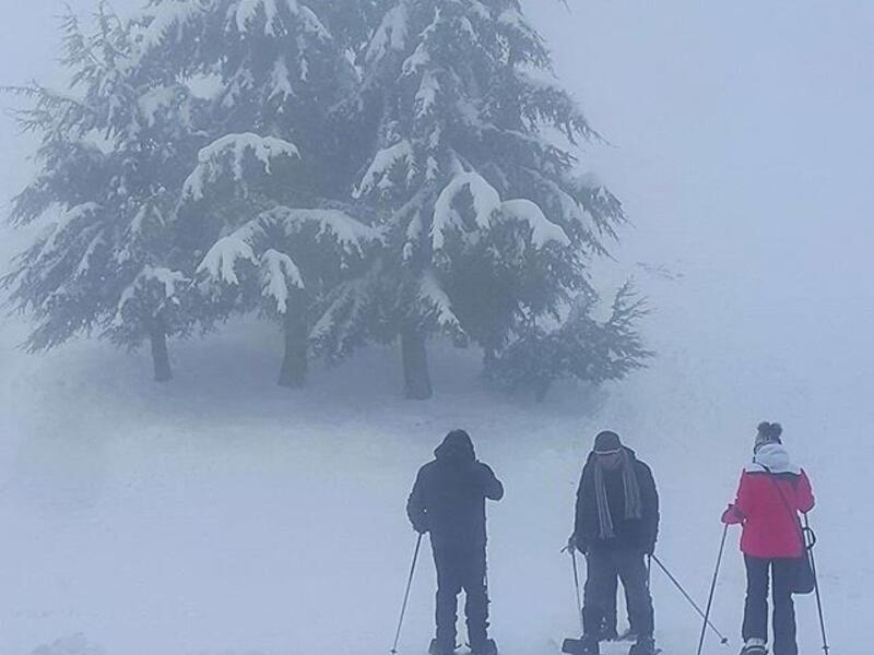 Beautiful winter in Lebanon (Twitter)