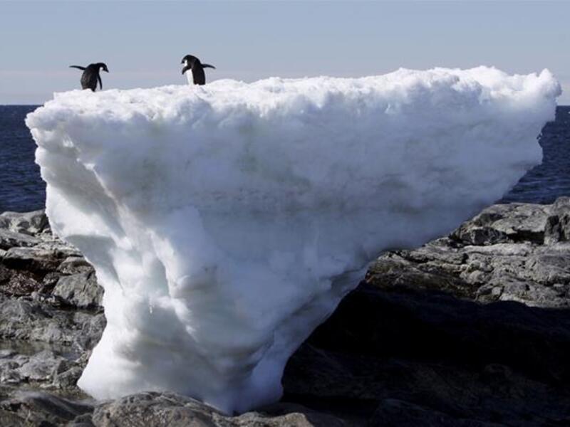 Greenland's ice (Twitter)