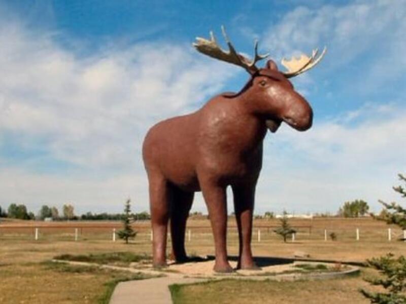 World's tallest moose statue (Twitter)