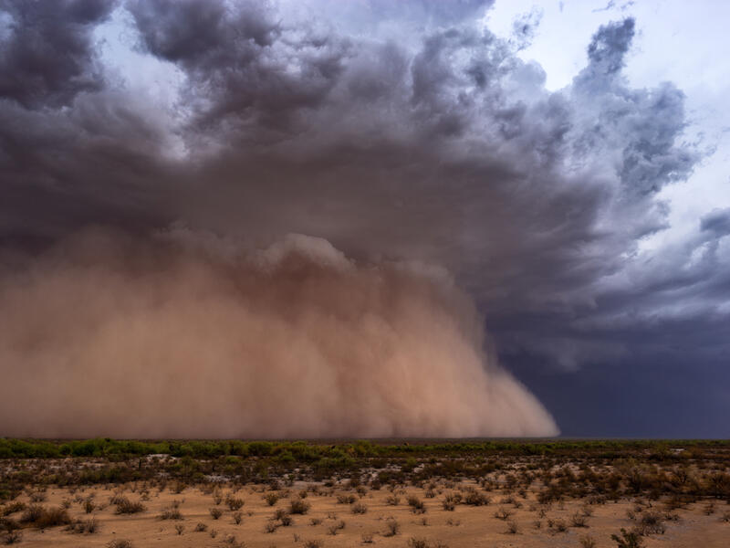 Sand Storms (Shutterstock)