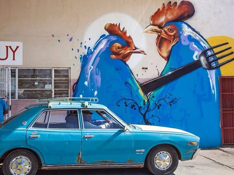 (Facebook/ Falko One)