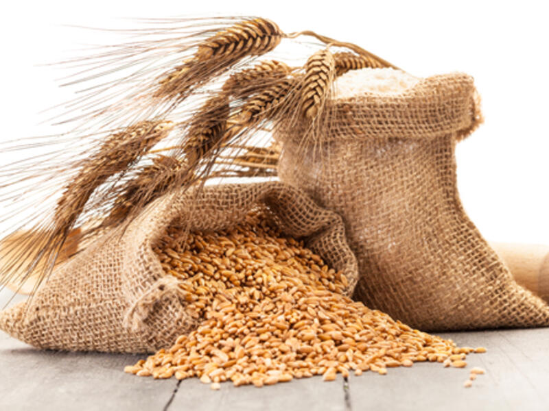 If Egypt's local wheat procurement numbers were misrepresented, it may have to spend more on foreign wheat purchases to meet local demand. (Shutterstock)