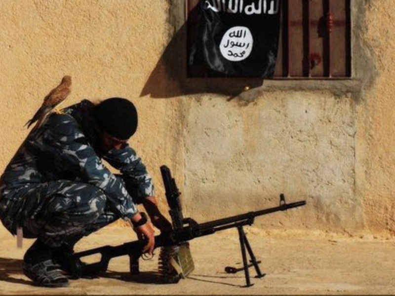 A Daesh militant in the de facto capital of Raqqa. (Twitter)