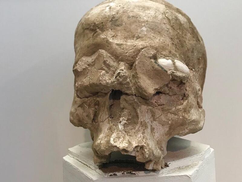 Neolithic plastered skull  (Twitter)