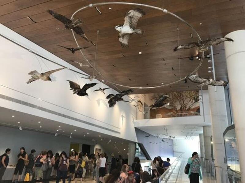  Natural History Museum (Twitter)