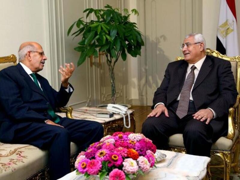 A handout picture released by the Egyptian Presidency shows Egypt's interim president Adly Mansour meeting with opposition National Salvation Front leader Mohamed El Baradei (AFP)