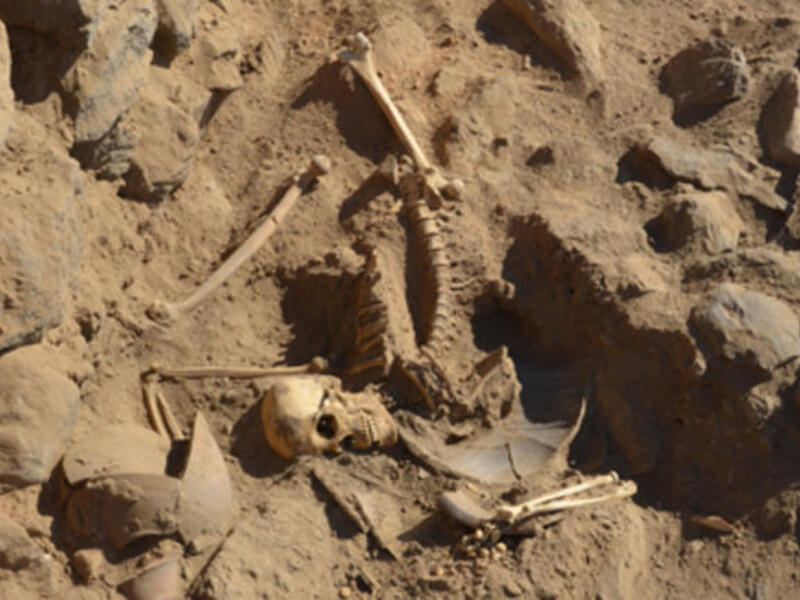 The newly discovered skeleton is thought to belong to a young Roman warrior who died in battle (Ahram image)