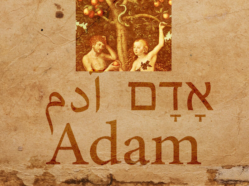 Adam
