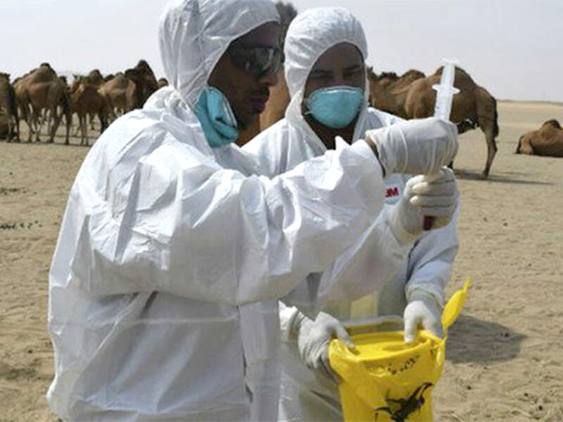 MERS hajj saudi arabia